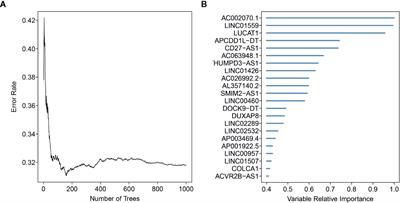 Identification of Epithelial–Mesenchymal Transition-Related lncRNA With Prognosis and Molecular Subtypes in Clear Cell Renal Cell Carcinoma